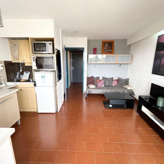  Annonces CAMARGUE : Appartement | LE GRAU-DU-ROI (30240) | 26 m2 | 159 000 € 