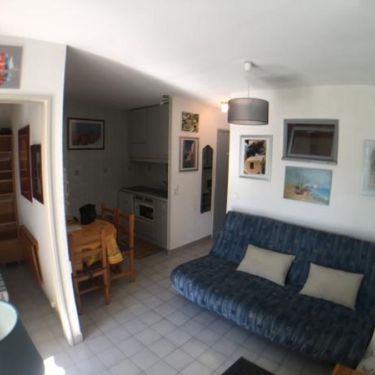  Annonces CAMARGUE : Appartement | LA GRANDE-MOTTE (34280) | 30 m2 | 340 € 